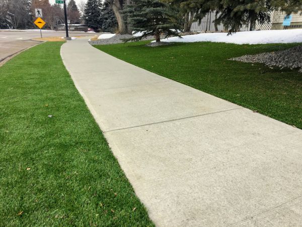 Sidewalk Repair in Elgin