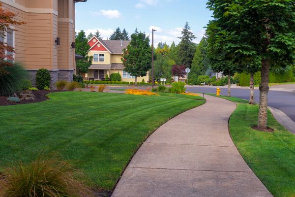 Sidewalk Patching in Elgin