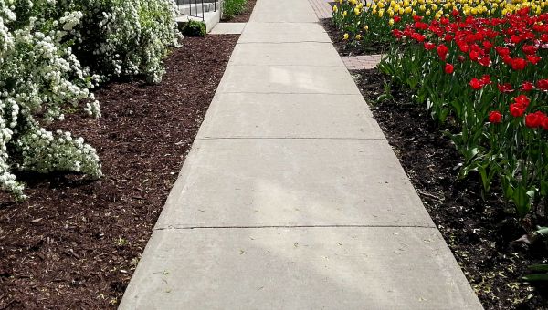 Concrete Pathway Repair in Elgin
