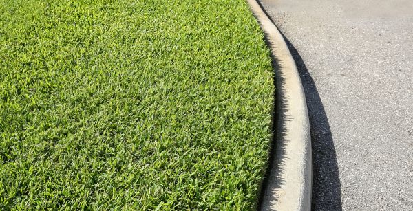 Driveway Curb Repair in Elgin